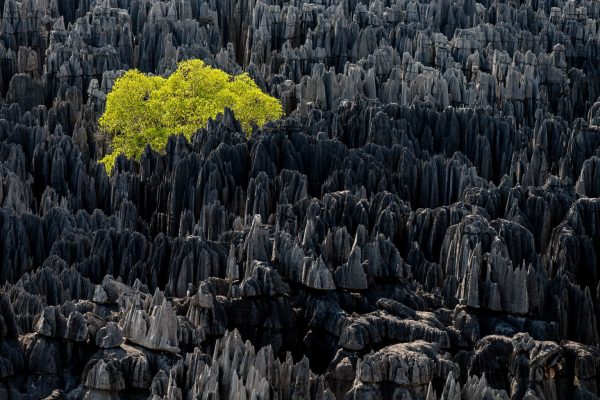 Tsingy of Bemaraha, Morondava region, Madagascar